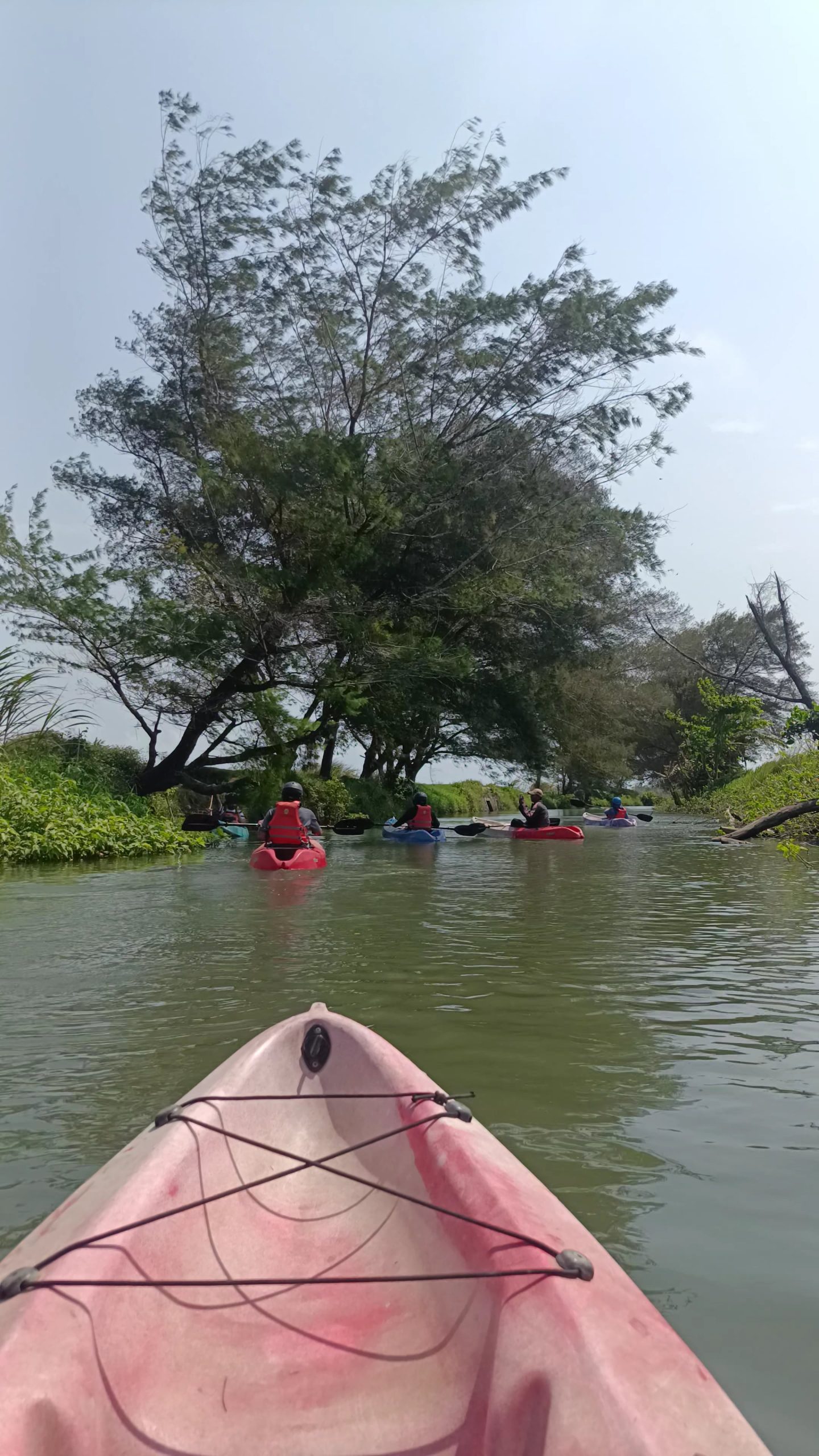 View Sungai Baros